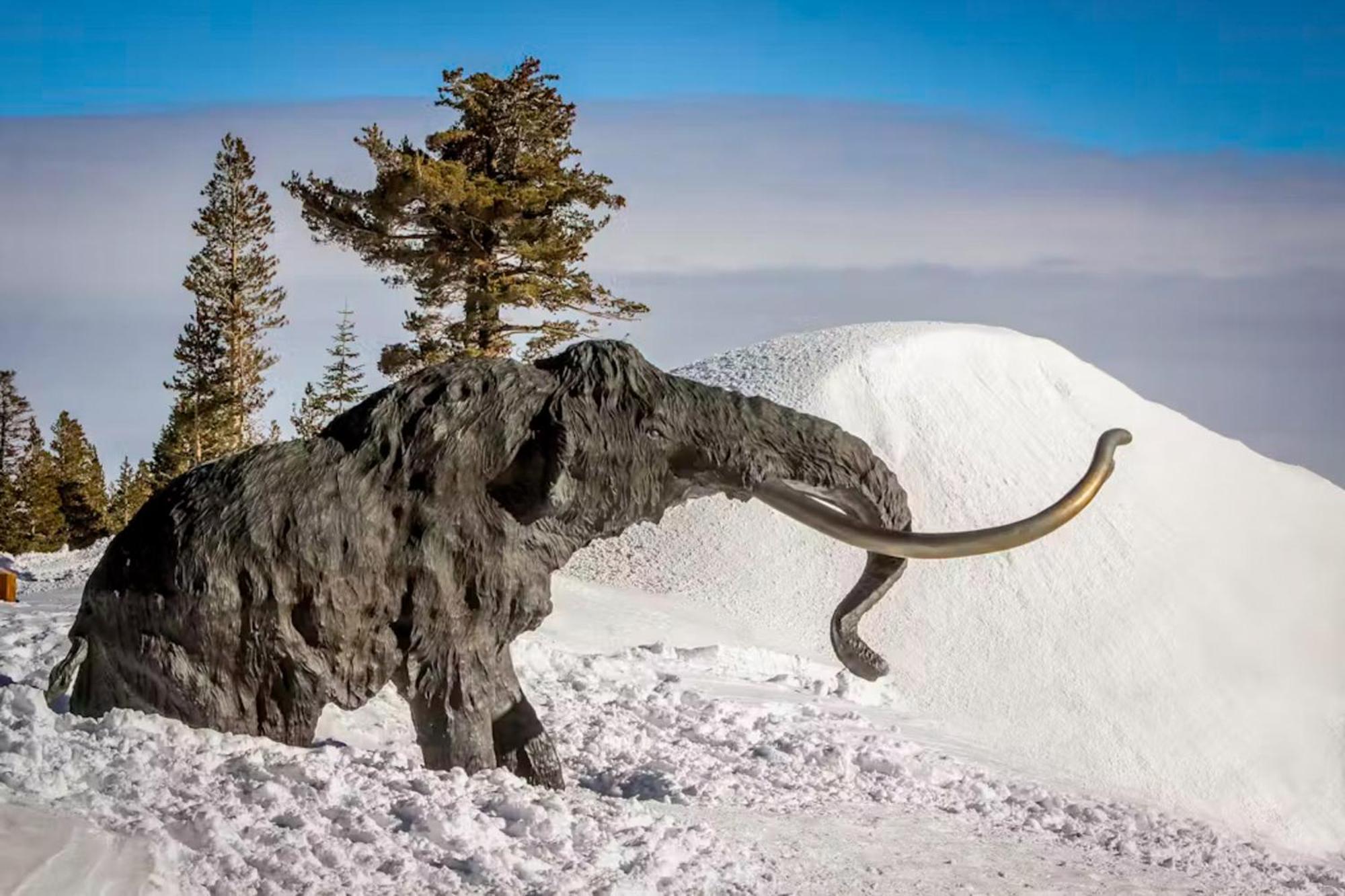 Chamonix 100 Διαμέρισμα Μαμούθ Λέικς Εξωτερικό φωτογραφία